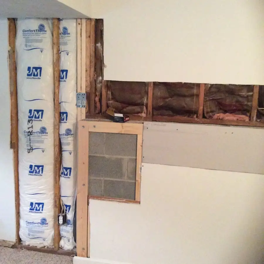 Wall insulation replacement during Odor Removal & Deodorization in Blaine